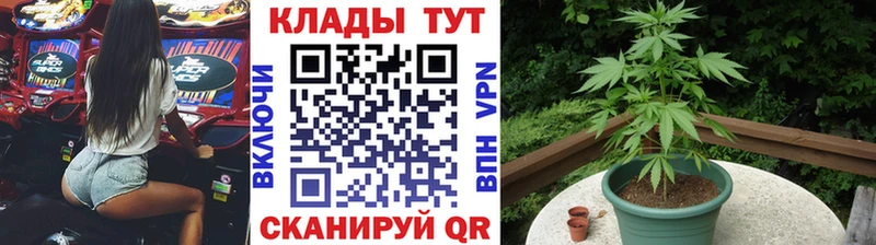  COCAIN Невинномысск