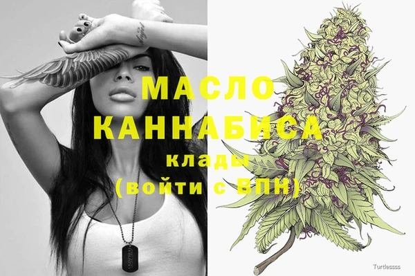 spice Гусев