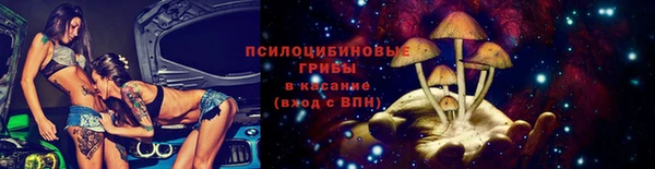 ГАЛЛЮЦИНОГЕННЫЕ ГРИБЫ Дмитриев