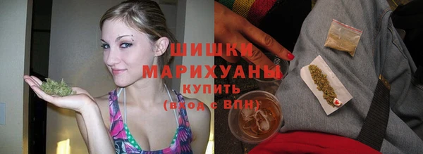 молекула духа Дмитров
