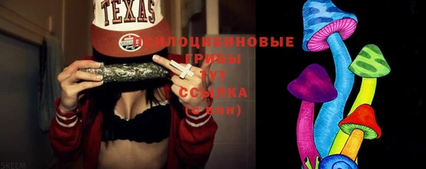 spice Гусев