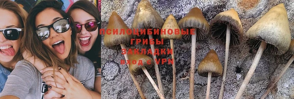 метадон Гусь-Хрустальный