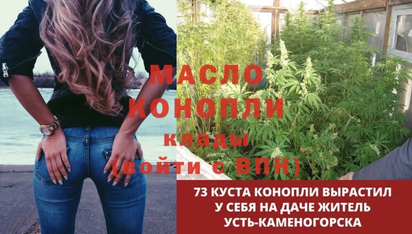 spice Гусев