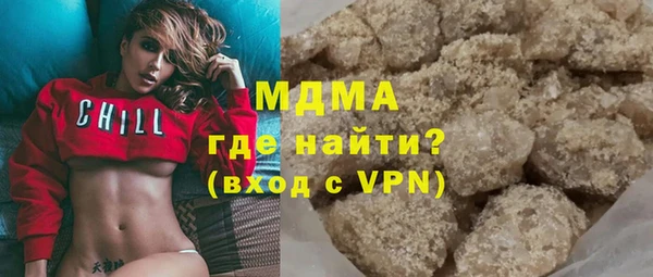 ГАЛЛЮЦИНОГЕННЫЕ ГРИБЫ Дмитриев