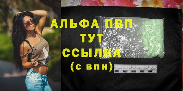 spice Гусев