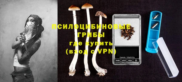 спайс Горнозаводск